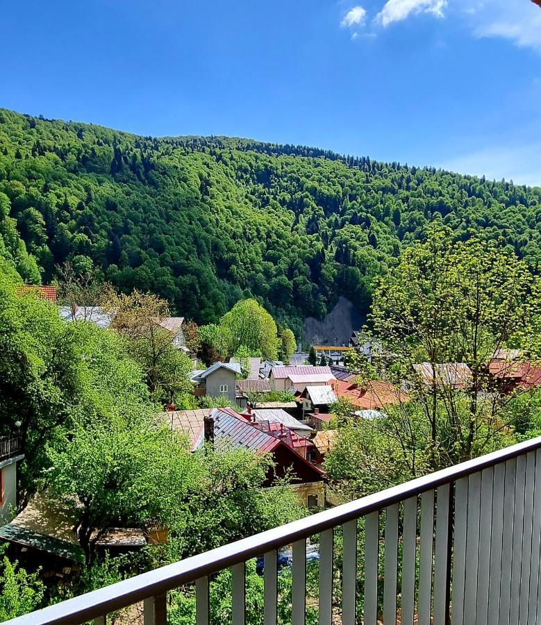 Sara Apart Belleview Sinaia Bagian luar foto