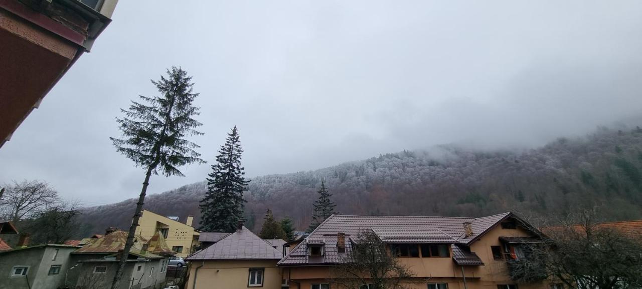 Sara Apart Belleview Sinaia Bagian luar foto